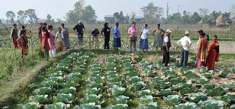 aiuto progetto agricolo bharoul nepal vispe
